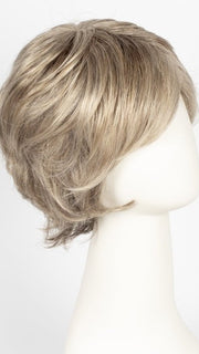 G17+ VANILLA MIST | Cool, ash blonde with lighter tones through the top and sides, progressing to a deeper ash blonde nape