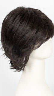 2/4R | Very Dark Brown with highlights