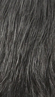 44 | Darkest Brown with 55% Grey