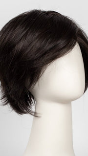 RL2/4 OFF BLACK | Black Evenly Blended with Dark Brown Highlights