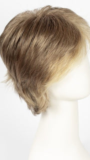 R13F25 PRALINE FOIL | Lightest Brown with Gold Blonde Highlights Around the Face