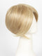 24B22 | Light Gold Blonde and Light Ash Blonde Blend