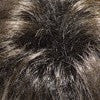 4GR | Dark brown with medium brown highlights and black roots