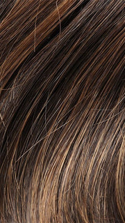 Color 4H27 = Iced Mocha: Dk Brown w/ 20% Strawberry Blonde Highlights 