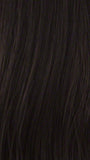 Color 4H = MEDIUM DARK BROWN / MEDIUM BROWN HIGHLIGHTS