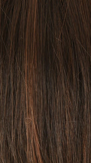 6/28 GINGER HIGHLIGHT | Dark Brown and Warm Dark Red Highlight Tones