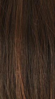 6/28 GINGER HIGHLIGHT | Dark Brown and Warm Dark Red Highlight Tones