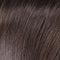 6 Medium Chestnut Brown
