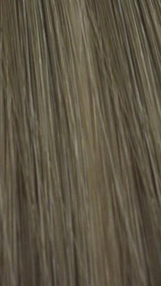 8/22 | Light Chestnut Brown and Champagne Blonde