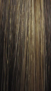 8H27HL24B | 3 Tone highlight of Light Chestnut Brown, Strawberry Blonde and Butterscotch Cream Blonde