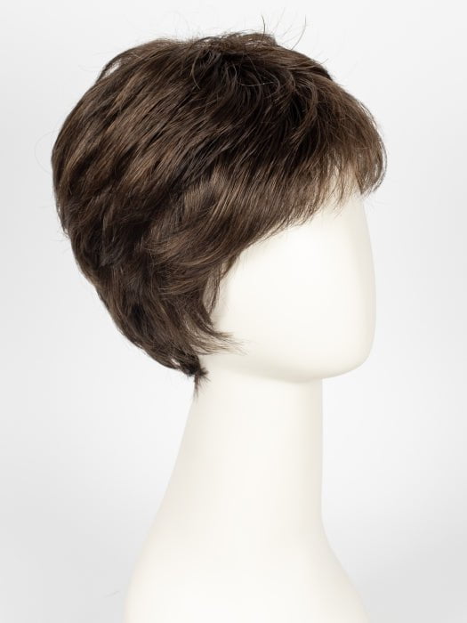 SS10 | SHADED CHESTNUT | Rich Medium Brown Evenly with Light Brown Highlights with Dark Roots