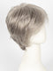 R119G SILVER AND SMOKE | Light Brown with 80% Gray in Front Gradually into 50% Gray Towards the Nape