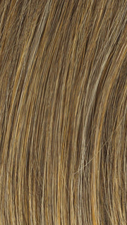 Dark Blonde | Honey blonde or dark blonde highlighted by the sun 