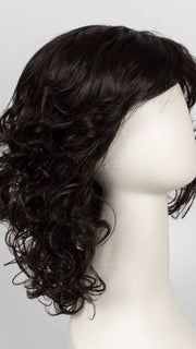 R2/4 | Darkest Brown Blended With Dark Brown