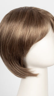 R12/26H | Light Brown w/Golden Blonde Highlights on Top