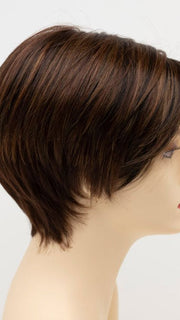 CINNAMON RAISIN | Medium Brown with Auburn and Cinnamon highlights