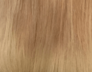 Butterscotch | Harvest Blonde blended w/ Beige Blonde