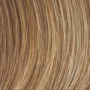 Color HT14/25 = Dark Golden Blonde