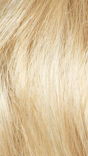 CREAMY BLONDE | Platinum and Light Gold Blonde evenly blended
