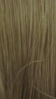 F16/24 | Honey Blonde Frosted with Golden Blonde