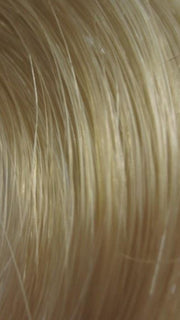 F22/24 | Champagne Blonde Frosted with Golden Blonde