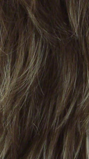 FS10 - Toffee Syrup - Lt Brown w/ Honey Blonde Highlights