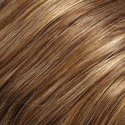 FS12/24B Cinnamon Syrup - Light Golden Brown w/Golden Blonde Bold Highlights