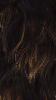 FS1B/27 | 80% Off Black with 20% Honey Blonde