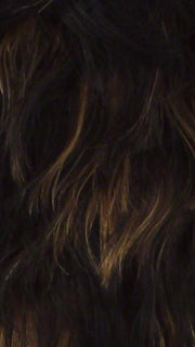 FS1B/27 | 80% Off Black with 20% Honey Blonde