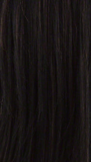 FS1B/30 | 80% Off Black with 20% Copper Blonde Frost