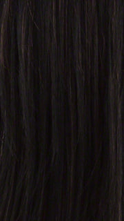 FS1B/30 | 80% Off Black with 20% Copper Blonde Frost