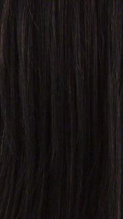 FS1B/30 | 80% Off Black with 20% Copper Blonde Frost