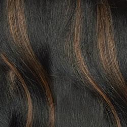 FS1B/30 80% Off Black (#1B) with 20% Copper Blonde (#30) Frost