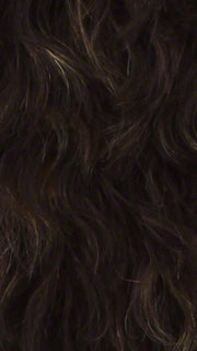 FS4/27 | 80% Medium Dark Brown with 20% Honey Blonde Frost
