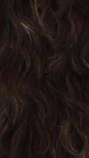 FS4/27 | 80% Medium Dark Brown with 20% Honey Blonde Frost