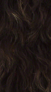 FS4/27 | 80% Medium Dark Brown with 20% Honey Blonde Frost