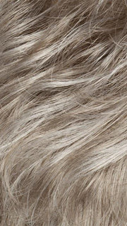 G101+ PLATINUM MIST | Light blonde with 50% grey base w/ platinum highlights