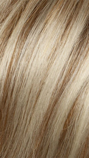 G15+ BUTTERED TOAST MIST | Warm Blonde with Pale Highlights on Top