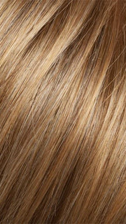 G27+ GINGER MIST | Medium warm brown base w/ warm blonde highlights
