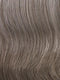 G48+ SUGARED PECAN | Light brown w/ 80% grey highlights