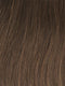 GL10-12 SUNLIT CHESTNUT | Rich Brown with Caramel Highlights