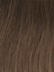 GL10-12 | SUNLIT CHESTNUT | Rich Brown with Caramel Highlights
