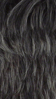 HF5648 | White Gray Highlight on Front & Side, Salt and Pepper Root, Light Gray Tip