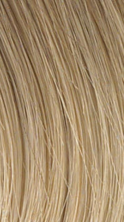 HT14/88H | Dark Blonde Evenly Blended with Pale Blonde Highlights