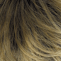 Color 26GR = GOLD BLONDE WITH LIGHT BLONDE HIGHLIGHTS AND BROWN ROOTS