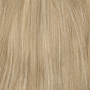 Color 26H = LIGHT GOLD BLONDE / LIGHT BLONDE HIGHLIGHTS