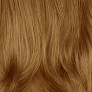 Color 27AH = DARK STRAWBERRY BLONDE / DARK BLONDE HIGHLIGHTS