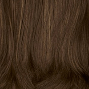 Color 8H = MEDIUM BROWN / GOLDEN BROWN HIGHLIGHTS