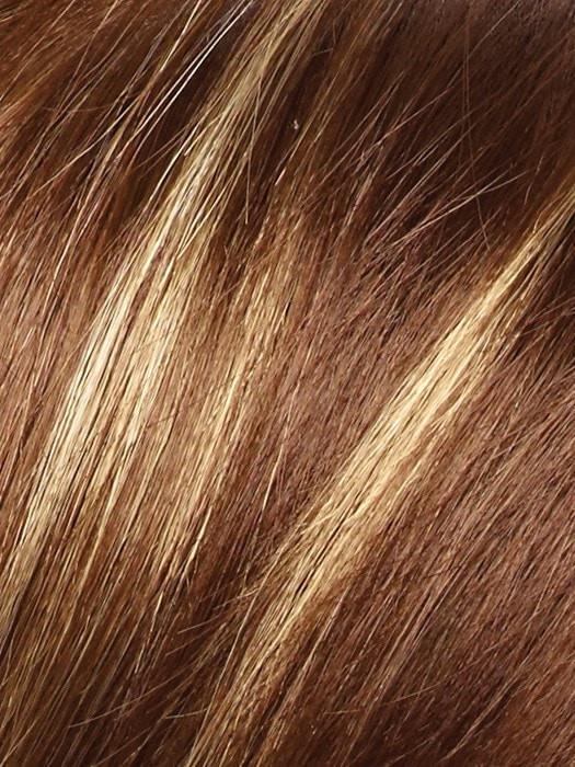 ICED-MOCHA |  Medium Brown blended with Light Blonde highlights