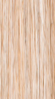 ICE-BLOND | Ash Blonde base with White Gold tips and highlights around the face